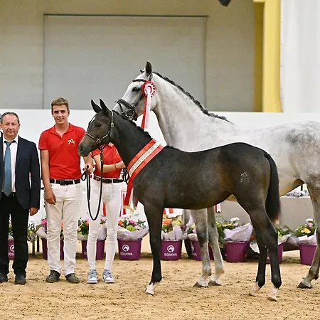 Daire Alpenhof Wildschoenau