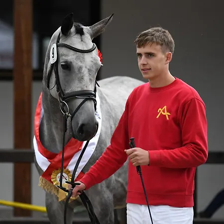 Daire Alpenhof Wildschoenau *