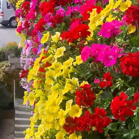 Alpenhof Wildschoenau * نيديراو