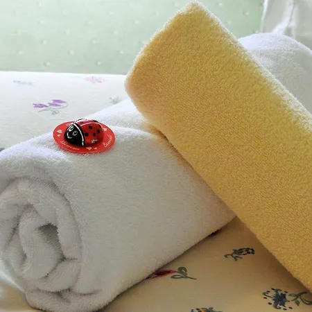 Alpenhof Wildschoenau Daire