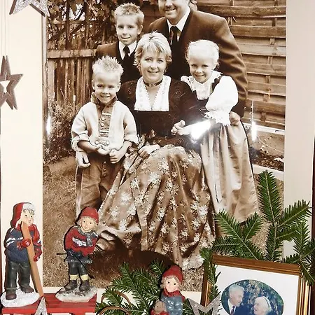 Alpenhof Wildschoenau Daire Niederau