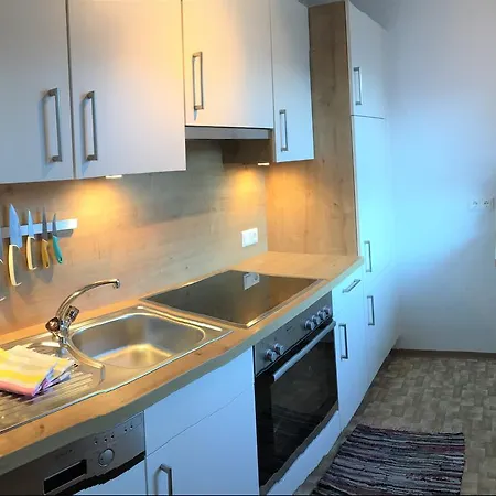 Alpenhof Wildschoenau Daire Niederau