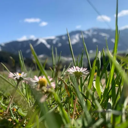 Alpenhof Wildschoenau Niederau